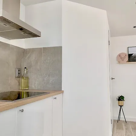 Liv With Sauna & Fireplace Ermelo