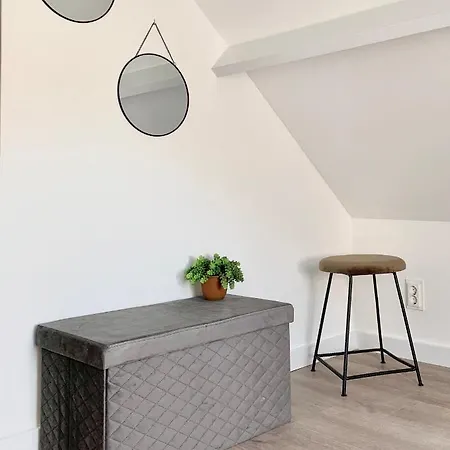 Liv With Sauna & Fireplace Holiday home Ermelo