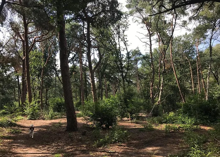 Liv With Sauna & Fireplace *