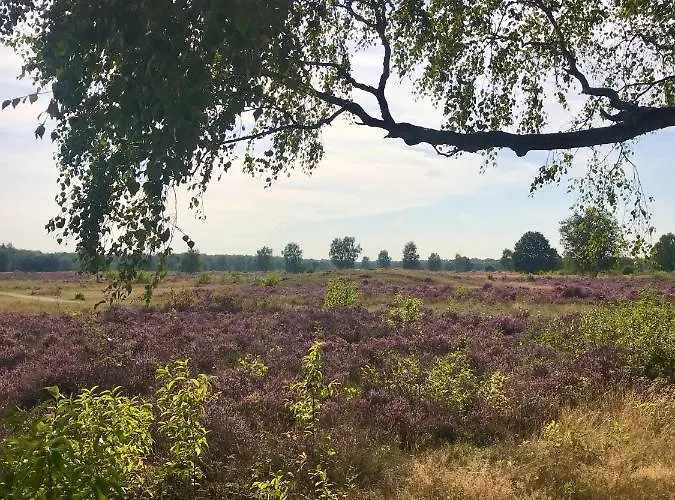 Liv With Sauna & Fireplace Сasa de vacaciones *
