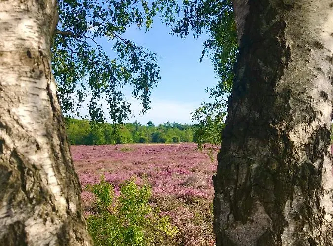 Liv With Sauna & Fireplace Сasa de vacaciones *