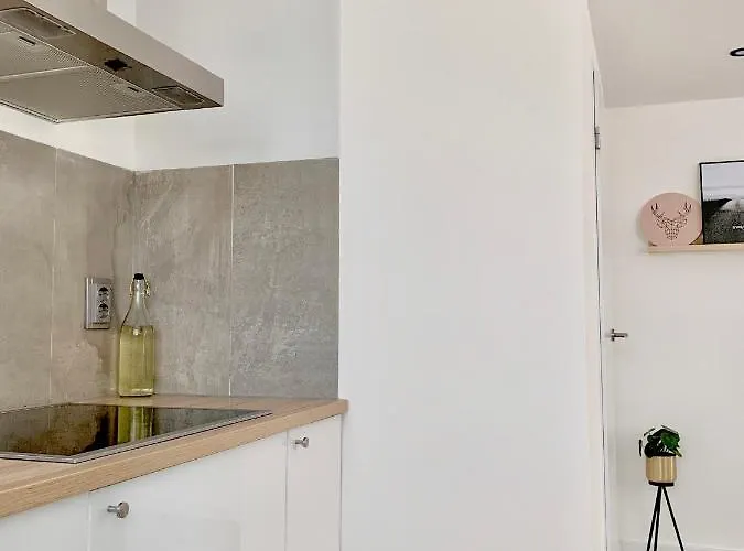 Liv With Sauna & Fireplace Ermelo