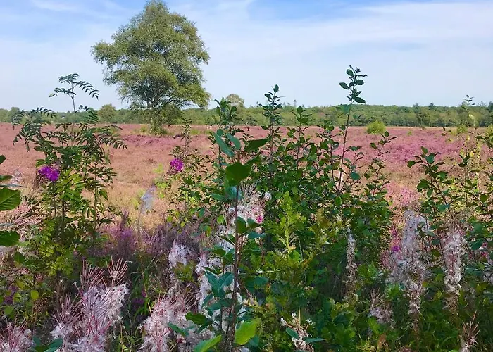 Liv With Sauna & Fireplace *